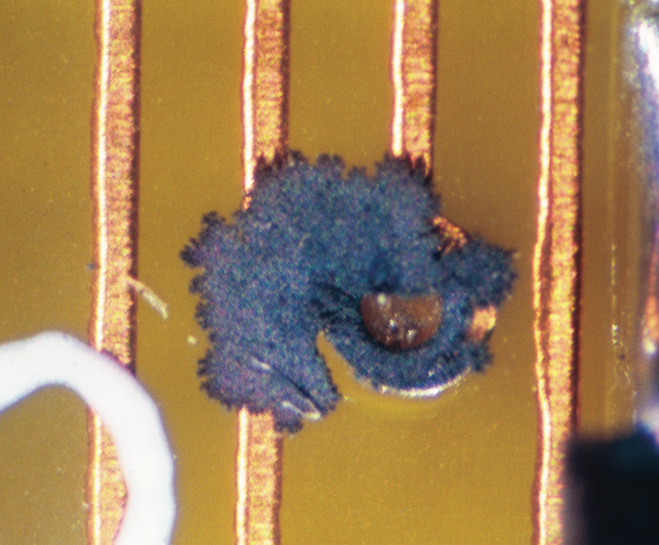 Corrosion Circuit Board