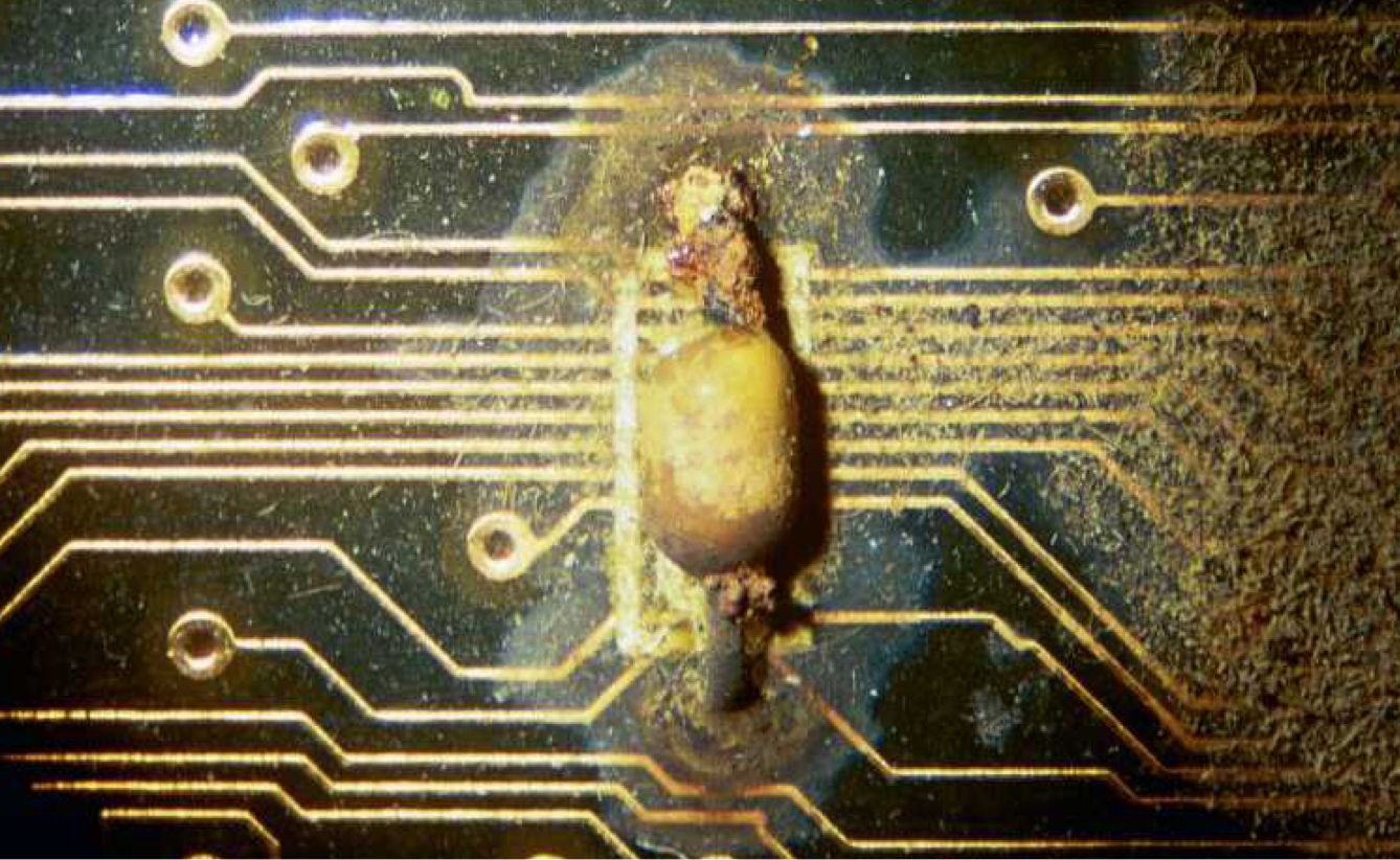 Corrosion Diode Creep